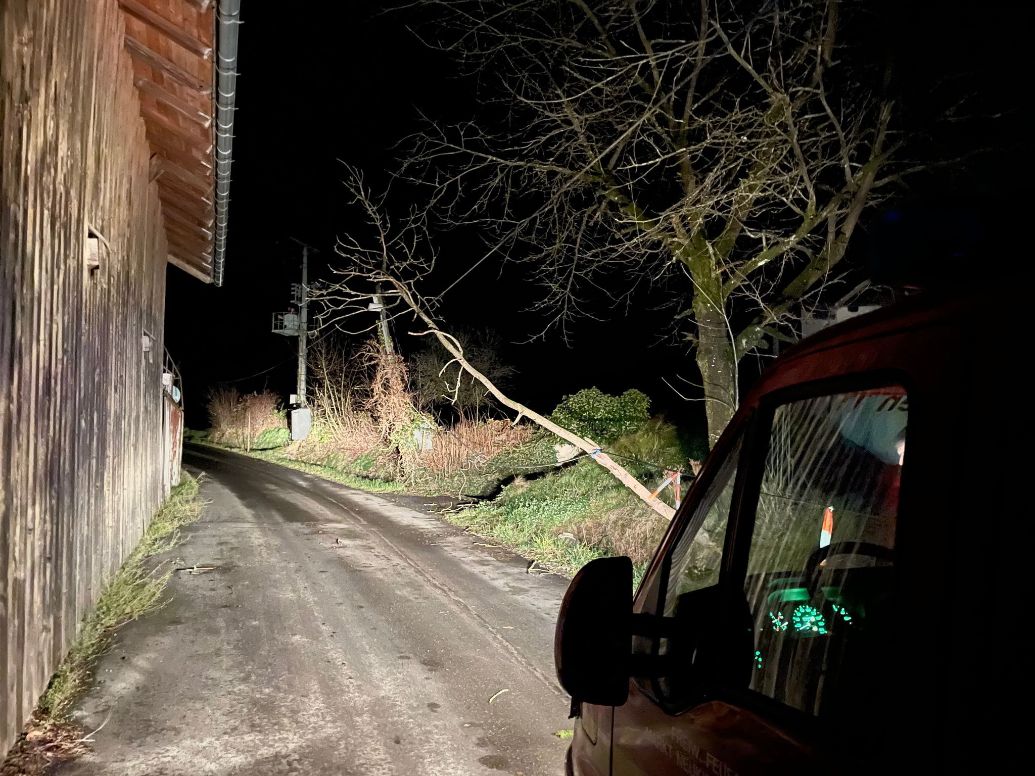 Baum auf Fahrbahn November