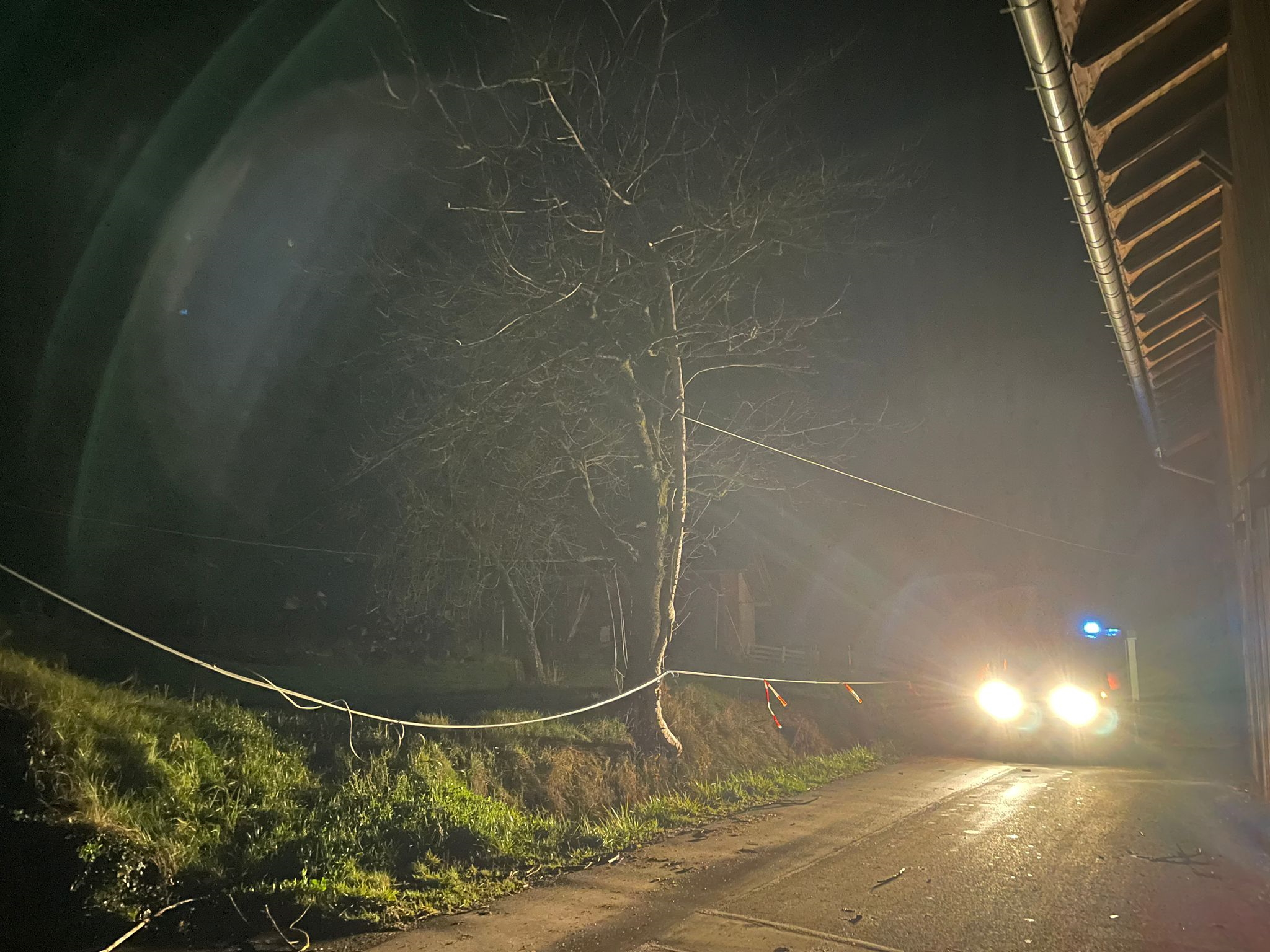 Baum auf Fahrbahn November 1