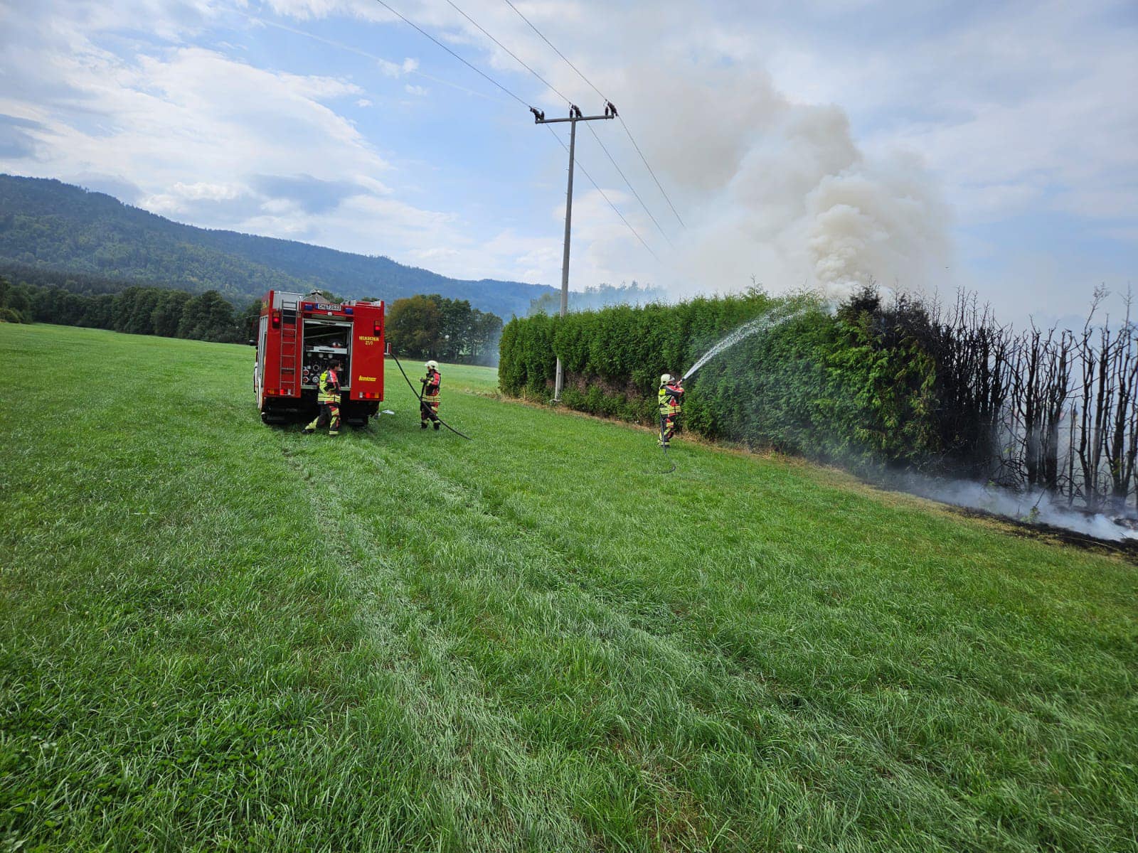 Heckenbrand am Gebude 2