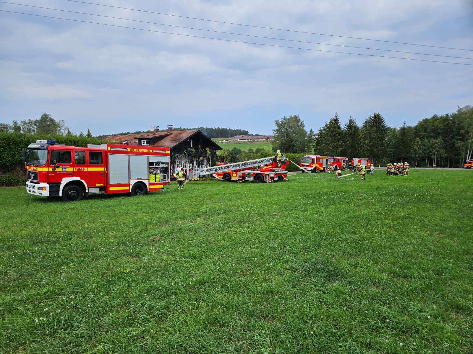 Heckenbrand am Gebude 4