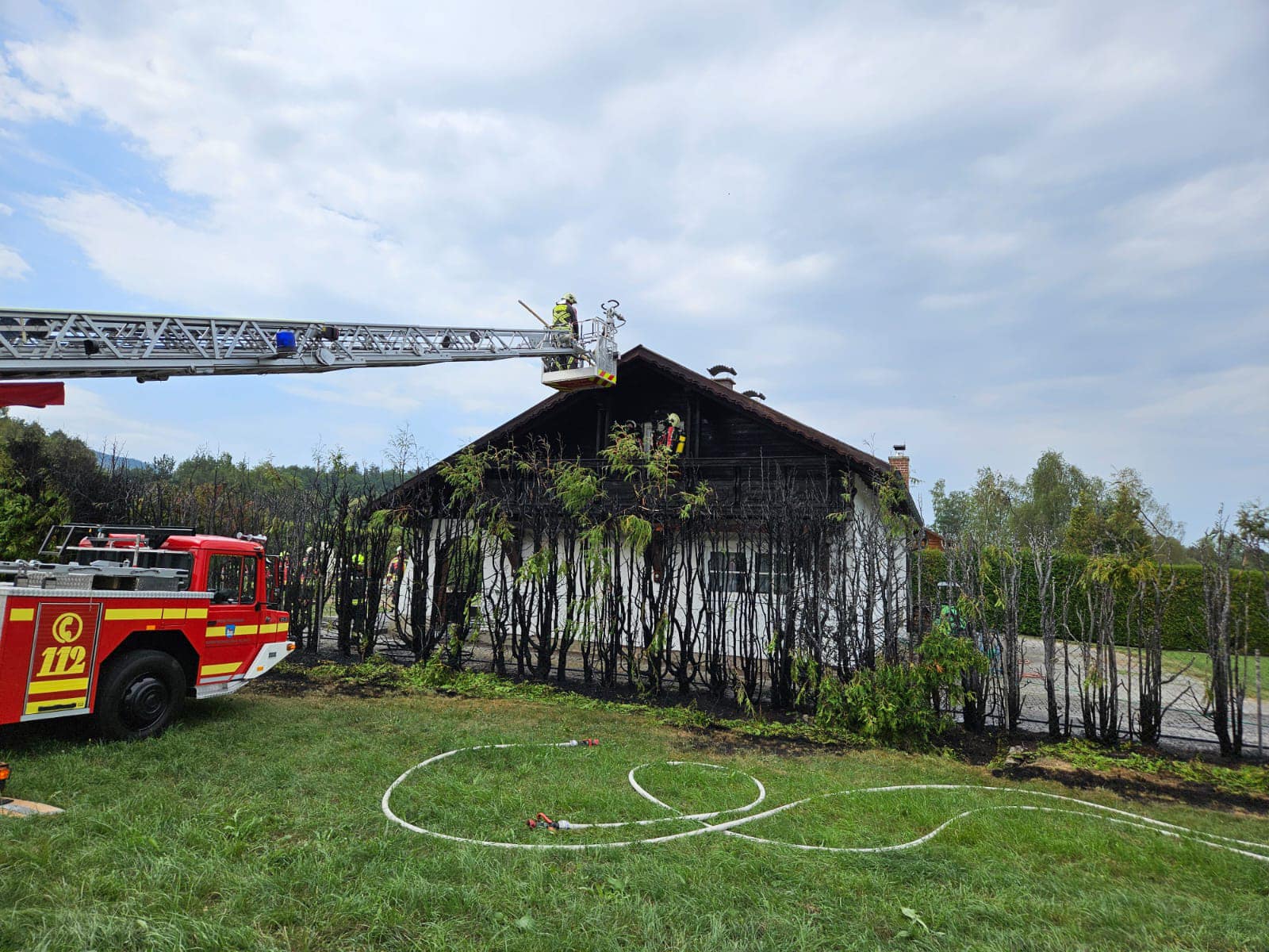 Heckenbrand am Gebude 5