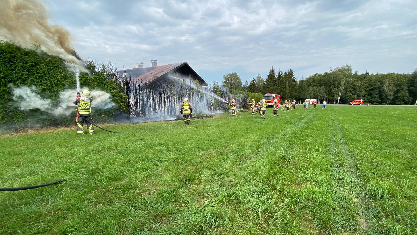 Heckenbrand am Gebude 6