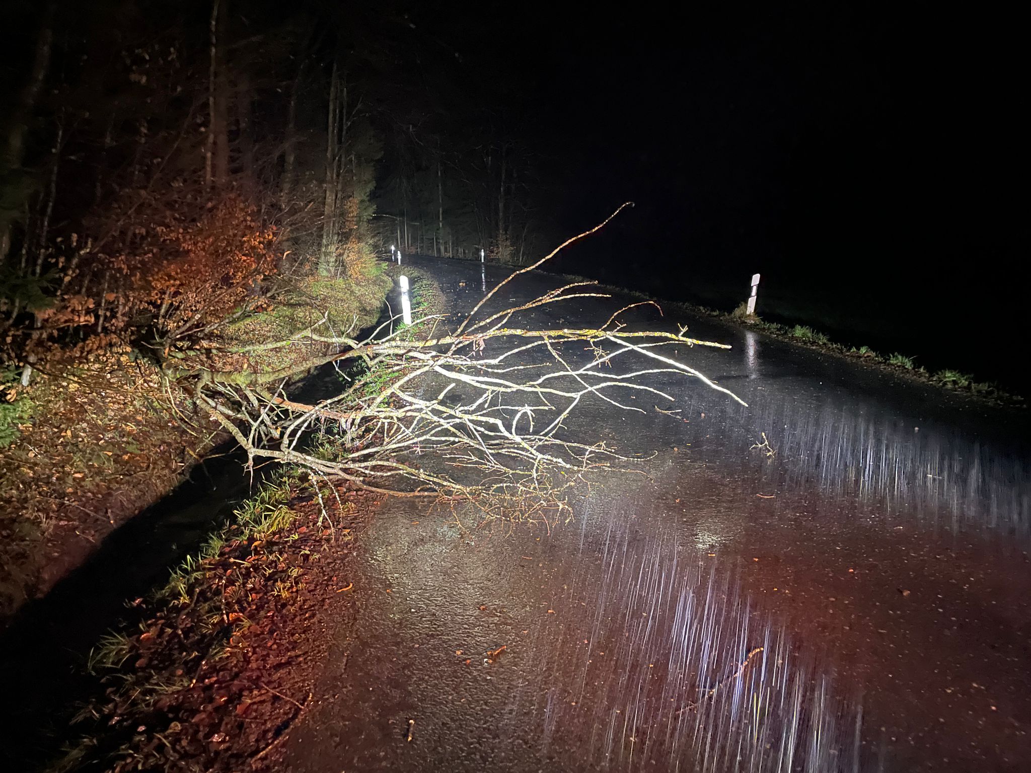 Baum auf Fahrbahn 090125 2